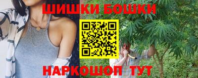 МДПВ Камышлов