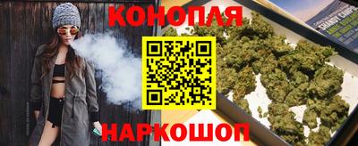 МДПВ Камышлов