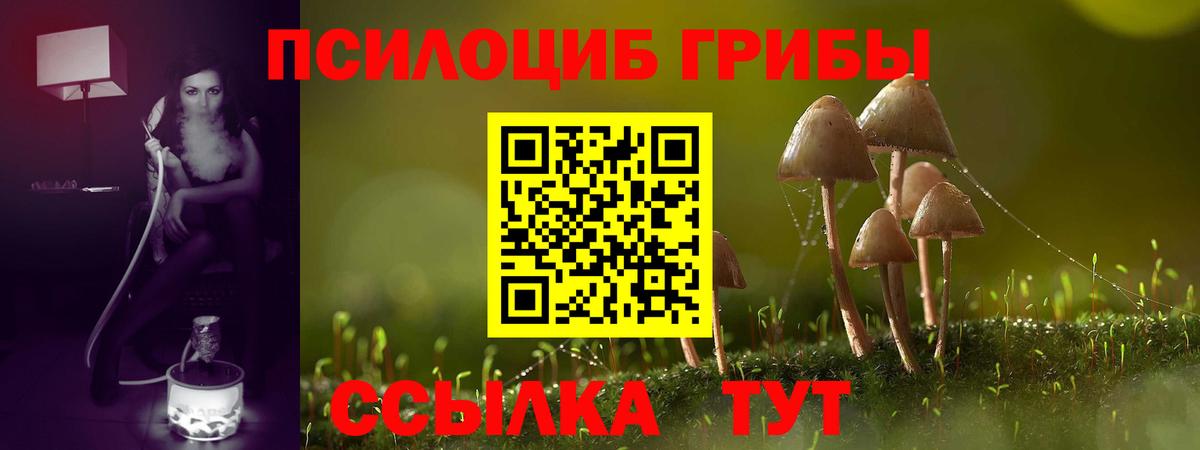Псилоцибиновые грибы прущие грибы Бузулук